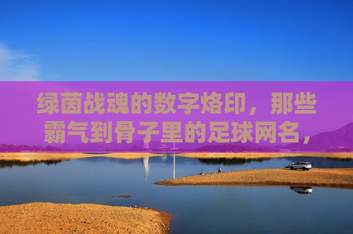 绿茵战魂的数字烙印,那些霸气到骨子里的足球网名,绿茵战魂数字烙印,霸气到骨子的足球网名 绿茵战魂的数字烙印,那些霸气到骨子里的足球网名,绿茵战魂数字烙印,霸气到骨子的足球网名