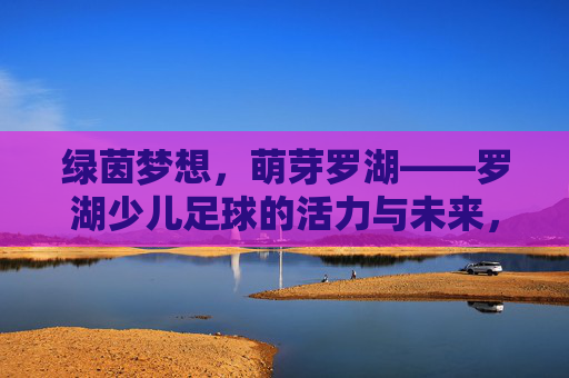 绿茵梦想，萌芽罗湖——罗湖少儿足球的活力与未来，绿茵萌芽罗湖，少儿足球活力未来