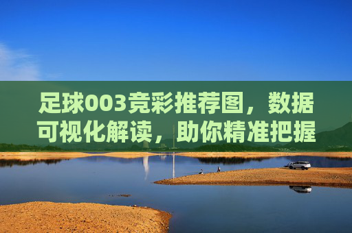 足球003竞彩推荐图，数据可视化解读，助你精准把握赛事脉搏