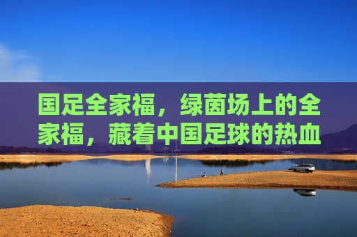 国足全家福，绿茵场上的全家福，藏着中国足球的热血与期盼，国足全家福，绿茵场的热血与期盼
