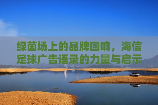 绿茵场上的品牌回响,海信足球广告语录的力量与启示,绿茵场回响,海信足球广告语录的力量与启示 绿茵场上的品牌回响,海信足球广告语录的力量与启示,绿茵场回响,海信足球广告语录的力量与启示