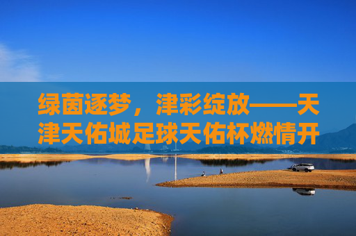 绿茵逐梦，津彩绽放——天津天佑城足球天佑杯燃情开赛，绿茵逐梦，津彩绽放——天津天佑城足球天佑杯燃情开赛