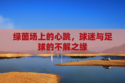 绿茵场上的心跳,球迷与足球的不解之缘 绿茵场上的心跳,球迷与足球的不解之缘