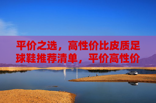 平价之选，高性价比皮质足球鞋推荐清单，平价高性价比皮质足球鞋推荐