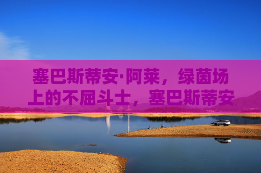 塞巴斯蒂安·阿莱，绿茵场上的不屈斗士，塞巴斯蒂安·阿莱，绿茵场的不屈斗士