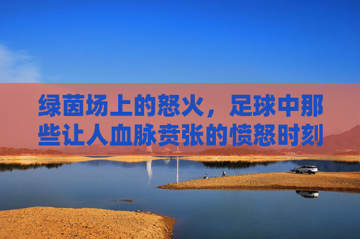 绿茵场上的怒火,足球中那些让人血脉贲张的愤怒时刻,绿茵场怒火,足球中的血脉贲张瞬间 绿茵场上的怒火,足球中那些让人血脉贲张的愤怒时刻,绿茵场怒火,足球中的血脉贲张瞬间