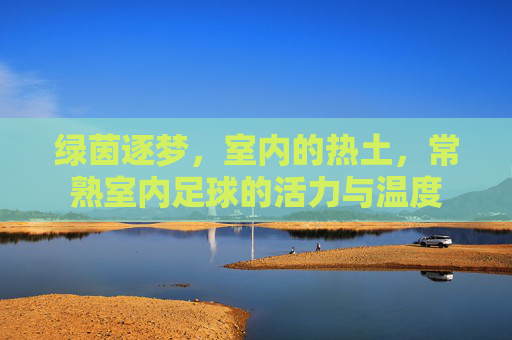 绿茵逐梦，室内的热土，常熟室内足球的活力与温度