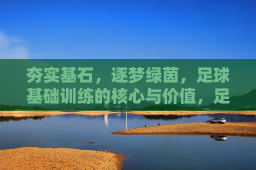 夯实基石，逐梦绿茵，足球基础训练的核心与价值，足球基础训练，绿茵梦想的基石与核心价值