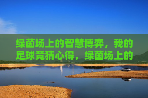 绿茵场上的智慧博弈，我的足球竞猜心得，绿茵场上的智慧博弈，我的足球竞猜心得