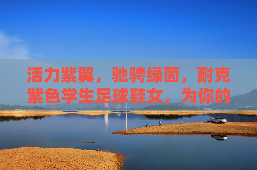 活力紫翼,驰骋绿茵,耐克紫色学生足球鞋女,为你的足球梦想加速!活力紫翼驰骋绿茵,耐克紫色学生足球鞋,加速足球梦想! 活力紫翼,驰骋绿茵,耐克紫色学生足球鞋女,为你的足球梦想加速!活力紫翼驰骋绿茵,耐克紫色学生足球鞋,加速足球梦想!