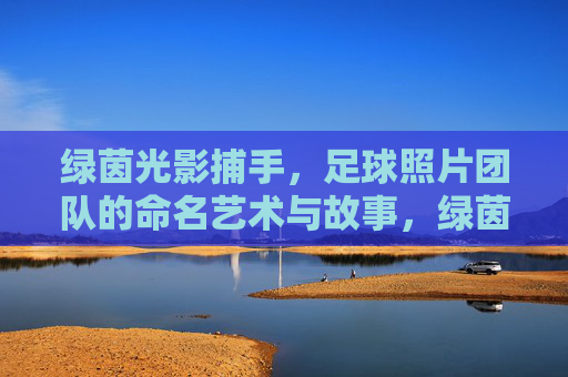 绿茵光影捕手，足球照片团队的命名艺术与故事，绿茵光影捕手，足球照片团队的命名艺术与故事