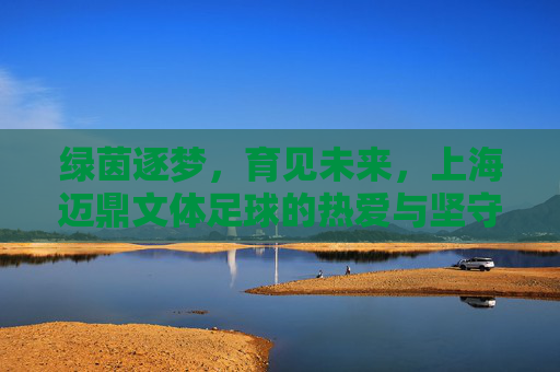 绿茵逐梦,育见未来,上海迈鼎文体足球的热爱与坚守,绿茵逐梦,热爱坚守育未来 绿茵逐梦,育见未来,上海迈鼎文体足球的热爱与坚守,绿茵逐梦,热爱坚守育未来