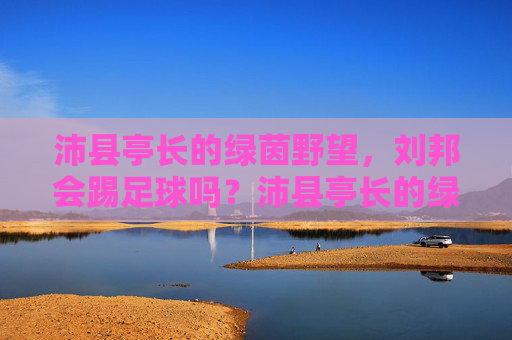 沛县亭长的绿茵野望，刘邦会踢足球吗？沛县亭长的绿茵野望，刘邦会踢足球吗？