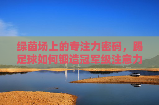 绿茵场上的专注力密码，踢足球如何锻造冠军级注意力
