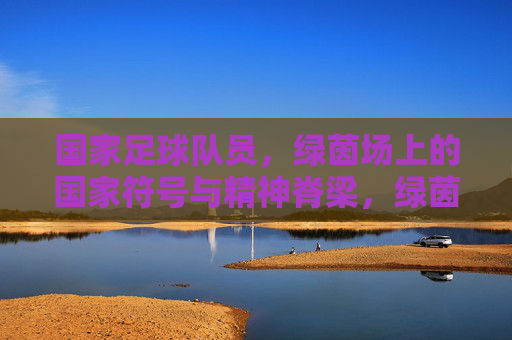 国家足球队员，绿茵场上的国家符号与精神脊梁，绿茵场上的国家符号与精神脊梁