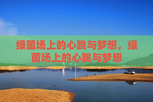 绿茵场上的心跳与梦想，绿茵场上的心跳与梦想
