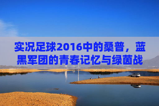 实况足球2016中的桑普，蓝黑军团的青春记忆与绿茵战场，实况足球2016，桑普蓝黑军团的青春绿茵记忆