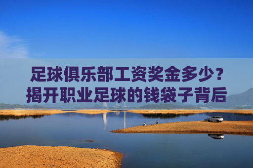 足球俱乐部工资奖金多少？揭开职业足球的钱袋子背后，职业足球工资奖金揭秘，钱袋子背后的真相