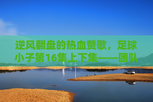 逆风翻盘的热血赞歌，足球小子第16集上下集——团队与成长的终极试炼，足球小子第16集上下集，逆风翻盘，团队与成长的热血试炼