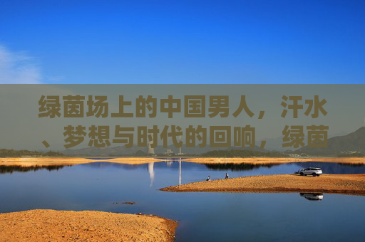 绿茵场上的中国男人，汗水、梦想与时代的回响，绿茵逐梦，中国男人的时代回响