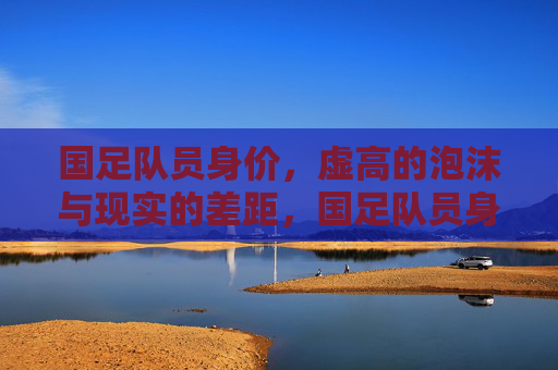国足队员身价，虚高的泡沫与现实的差距，国足队员身价，虚高泡沫与现实的鸿沟