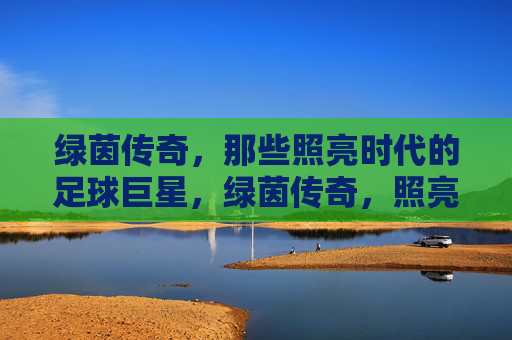 绿茵传奇,那些照亮时代的足球巨星,绿茵传奇,照亮时代的足球巨星 绿茵传奇,那些照亮时代的足球巨星,绿茵传奇,照亮时代的足球巨星