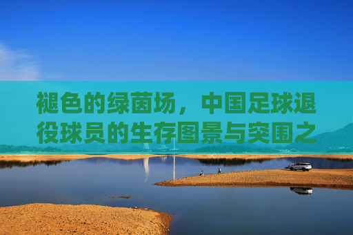 褪色的绿茵场,中国足球退役球员的生存图景与突围之路,褪色绿茵场,中国足球退役球员的生存图景与突围 褪色的绿茵场,中国足球退役球员的生存图景与突围之路,褪色绿茵场,中国足球退役球员的生存图景与突围
