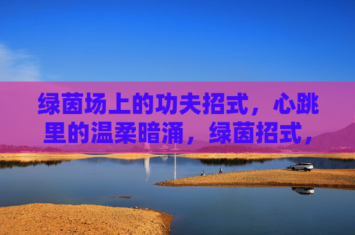 绿茵场上的功夫招式,心跳里的温柔暗涌,绿茵招式,心跳暗涌 绿茵场上的功夫招式,心跳里的温柔暗涌,绿茵招式,心跳暗涌