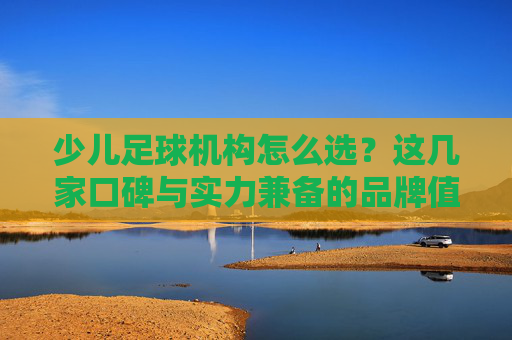 少儿足球机构怎么选？这几家口碑与实力兼备的品牌值得考虑，少儿足球机构怎么选？口碑实力兼备的品牌推荐