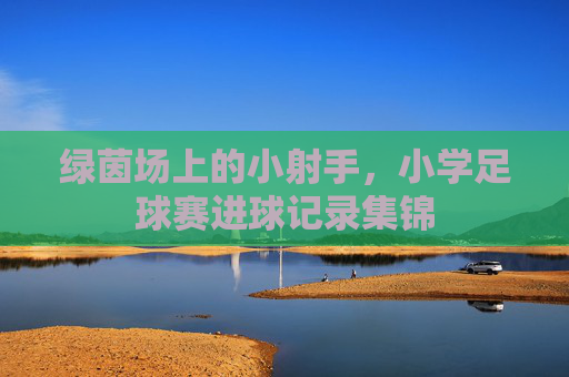 绿茵场上的小射手，小学足球赛进球记录集锦
