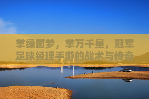 掌绿茵梦，掌万千星，冠军足球经理手游的战术与传奇之旅，冠军足球经理手游，掌战术之策，燃传奇星梦