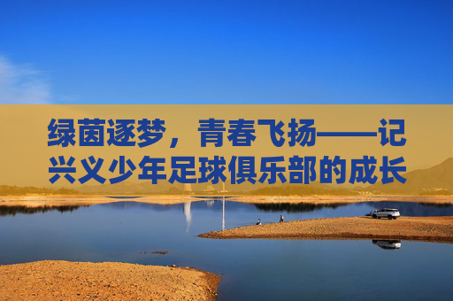 绿茵逐梦，青春飞扬——记兴义少年足球俱乐部的成长与希望，兴义少年足球，绿茵逐梦，成长希望