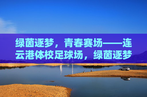 绿茵逐梦，青春赛场——连云港体校足球场，绿茵逐梦青春场——连云港体校足球场
