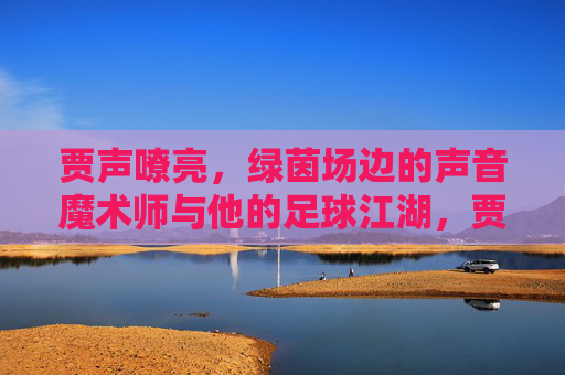 贾声嘹亮，绿茵场边的声音魔术师与他的足球江湖，贾声嘹亮，绿茵场边的声音魔术师与足球江湖