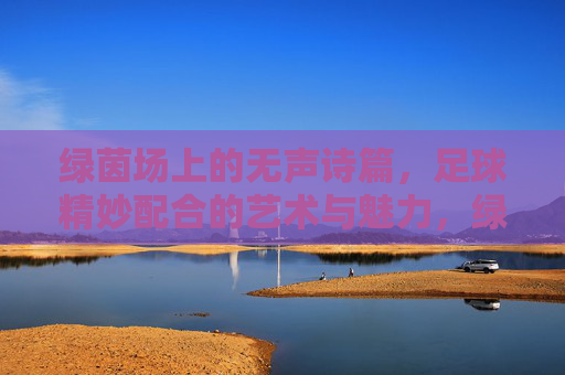 绿茵场上的无声诗篇,足球精妙配合的艺术与魅力,绿茵诗篇,足球精妙配合的艺术 绿茵场上的无声诗篇,足球精妙配合的艺术与魅力,绿茵诗篇,足球精妙配合的艺术