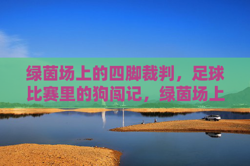 绿茵场上的四脚裁判,足球比赛里的狗闯记,绿茵场上的四脚裁判,足球比赛狗闯记 绿茵场上的四脚裁判,足球比赛里的狗闯记,绿茵场上的四脚裁判,足球比赛狗闯记