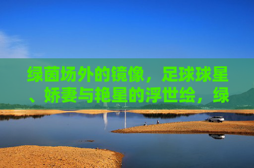 绿茵场外的镜像,足球球星、娇妻与艳星的浮世绘,绿茵场外,球星、娇妻与艳星的浮世绘 绿茵场外的镜像,足球球星、娇妻与艳星的浮世绘,绿茵场外,球星、娇妻与艳星的浮世绘