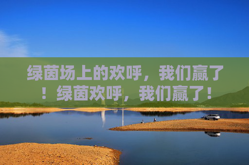 绿茵场上的欢呼,我们赢了!绿茵欢呼,我们赢了! 绿茵场上的欢呼,我们赢了!绿茵欢呼,我们赢了!