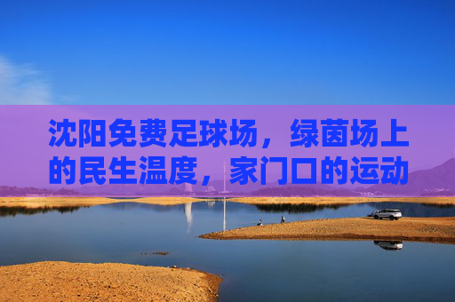 沈阳免费足球场,绿茵场上的民生温度,家门口的运动乐园,沈阳免费足球场,民生温度下的家门口运动乐园 沈阳免费足球场,绿茵场上的民生温度,家门口的运动乐园,沈阳免费足球场,民生温度下的家门口运动乐园