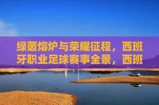 绿茵熔炉与荣耀征程，西班牙职业足球赛事全景，西班牙职业足球全景，绿茵熔炉与荣耀征程