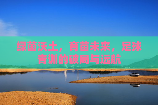 绿茵沃土，育苗未来，足球青训的破局与远航