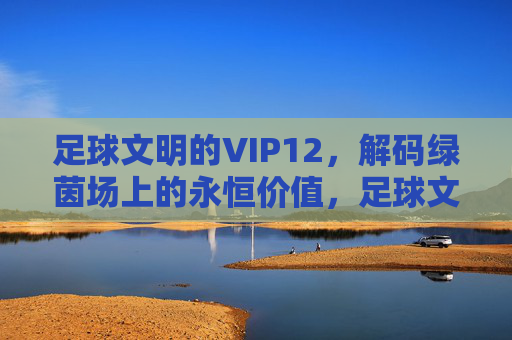 足球文明的VIP12,解码绿茵场上的永恒价值,足球文明VIP12,解码绿茵场永恒价值 足球文明的VIP12,解码绿茵场上的永恒价值,足球文明VIP12,解码绿茵场永恒价值