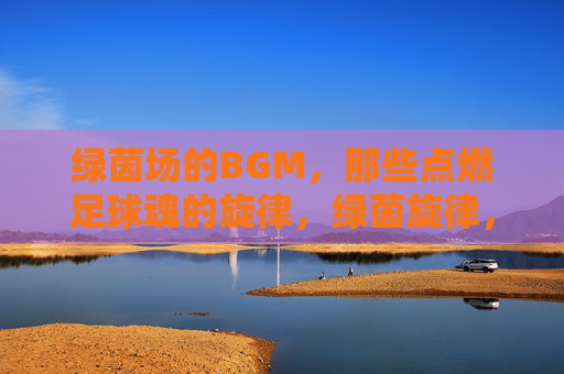 绿茵场的BGM，那些点燃足球魂的旋律，绿茵旋律，燃魂赛场
