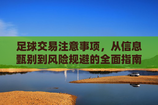 足球交易注意事项,从信息甄别到风险规避的全面指南,足球交易全指南,从信息甄别到风险规避 足球交易注意事项,从信息甄别到风险规避的全面指南,足球交易全指南,从信息甄别到风险规避