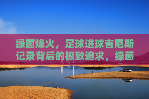 绿茵烽火，足球进球吉尼斯记录背后的极致追求，绿茵烽火，足球进球吉尼斯记录的极致追求