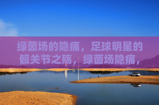 绿茵场的隐痛，足球明星的髋关节之殇，绿茵场隐痛，足球明星的髋关节之殇