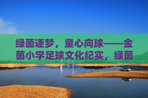 绿茵逐梦，童心向球——金茵小学足球文化纪实，绿茵逐梦，童心向球——金茵小学足球文化