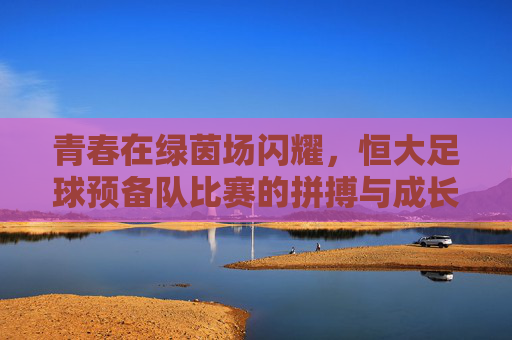 青春在绿茵场闪耀，恒大足球预备队比赛的拼搏与成长，青春闪耀绿茵场，恒大预备队的拼搏成长