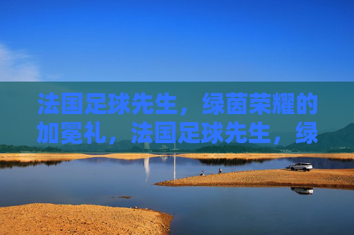 法国足球先生，绿茵荣耀的加冕礼，法国足球先生，绿茵荣耀的加冕礼