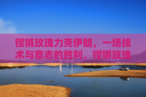 铿锵玫瑰力克伊朗，一场技术与意志的胜利，铿锵玫瑰力克伊朗，技术与意志的胜利